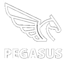 Pegasus Shop